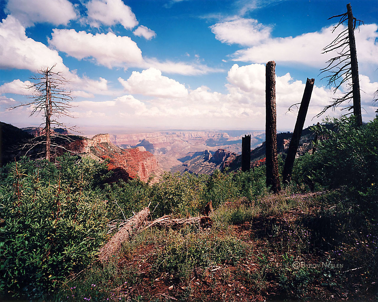 Saddle Mountian, 
North Rim Grand Canyon
