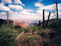 Saddle Mountian North Rim Grand Canyon